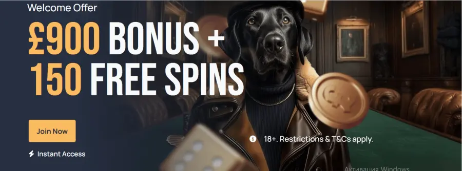 Spin dog casino